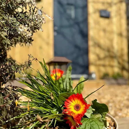 Apartment Acorn Pentewan *